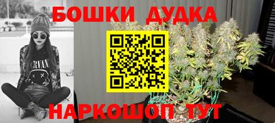 a pvp Лесосибирск